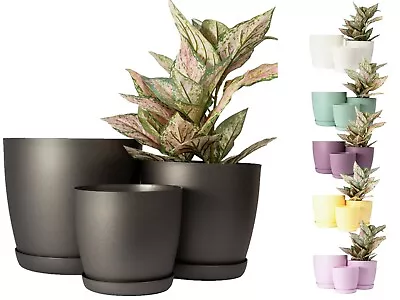 Set Of 3 Plant Pots Indoor Large Mat 30cm 25cm 20cm Extra Big With Saucer Deco • £24.89