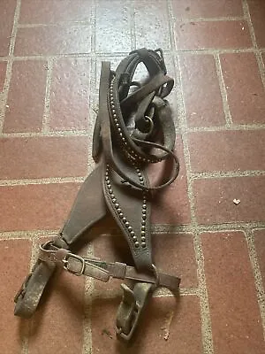 Vintage Spotted Parade Bridle Horse Size • $85