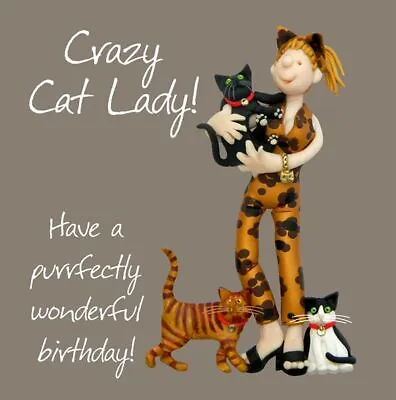Birthday Card - Female Funny Humour Crazy Cat Lady One Lump Or Two Quality NEW • £3.85
