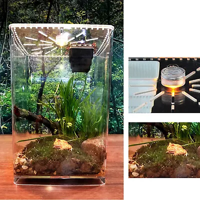 Terrarium Tank Acrylic Reptile Terrarium Gecko Lizard Snake Spider Vivarium Cage • $31.35