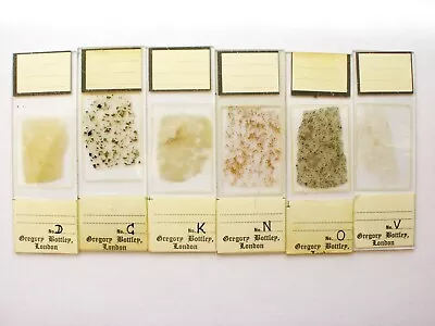 6 Antique/Vintage  Microscope  Slides. Petrology  By Gregory And Bottley. • $31.07
