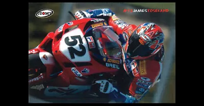 Rare JAMES TOSELAND MotoGP Action Ducati Motorcycle Racing Premium 27x39 POSTER • $26.99