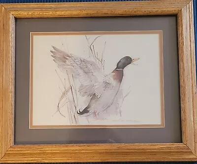 Wild Mallard Duck Artwork Signed Danish Artist Mads Stage Matted Framed 14x17 • $42