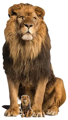 Lion Sitting Lifesize Cardboard Cutout 155cm • £35.99