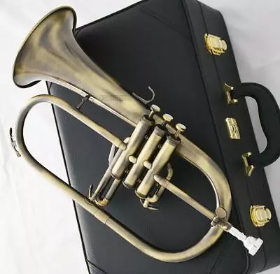 Antique Bronze Flugelhorn Monel Valve Bb Key 2 Mouthpiece Leather Case • $364