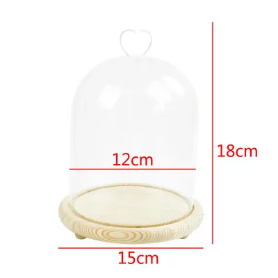 £7.95 • Buy Dome Glass Cloche Bell Jar Warm White/Corful Lighting Up Bamboo Tray For Display