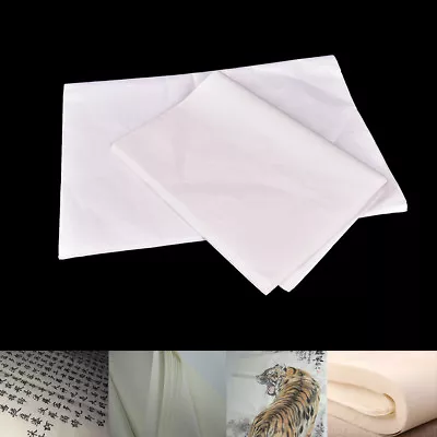 30x New Painting Xuan Paper Rice Paper For Chinese Painting And Calligraphy-AW • $16.77