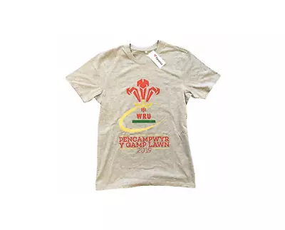 Wales Rugby Men's T-Shirt (Size S) Grey Short Sleeve 2019 T-Shirt - New • £14.99