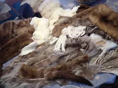 Bulk Fox Rabbit Fur Collar Pelt Trim White Brown Mixed Lot Of 32 Pieces Masks • $59.99