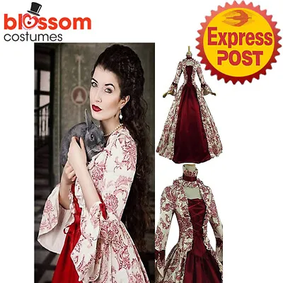 N873 Vintage Renaissance Marie Antoinette Cosplay Costume Baroque Court Dress Up • $33.06