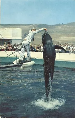 Postcard CA Palos Verdes California Marineland Of The Pacific Pilot Whale • $5.85