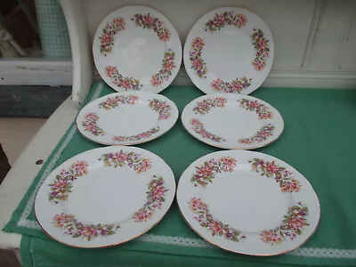 6 X Colclough WAYSIDE 8  Salad Or Dessert Plates - Excellent • £9.99