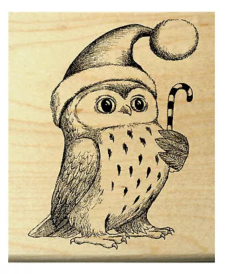 P29 Owl With Christmas Hat Rubber Stamp WM 2.5x2   • $12.50