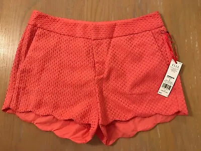 New! ELLE Ladies Shorts Scalloped Leg Opening Sugar Coral Size 4 • $19.99