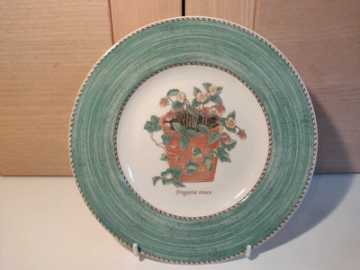 £3.50 • Buy Wedgwood Queens Ware Sarahs Garden Fragaria Vesca Wild Strawberry Plate 1997