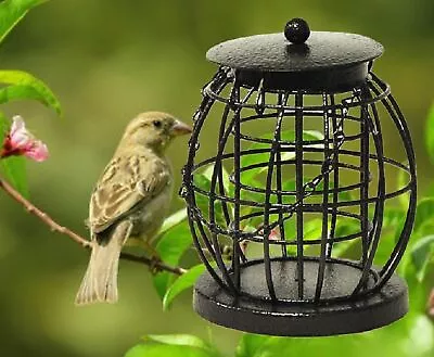 Wild Bird Fat Ball Feeder Lantern Hanging Metal Garden Feeder Squirrel Resistant • £6.79