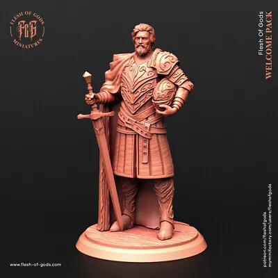 Human Knight Lord Fighter Miniature 28mm 32mm Dungeon Dragons D&D RPG • $11.99