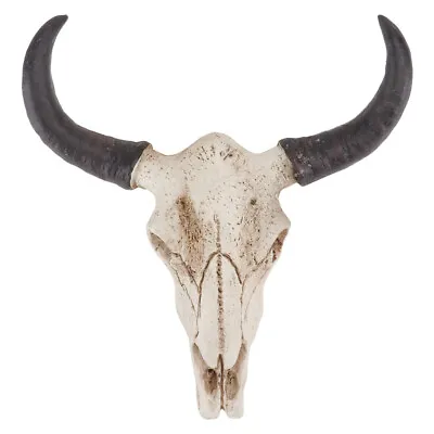 1x Long Huge Texas Longhorn Cow Skull Wall Hanging Horn Steer Western Decoration • $27.60