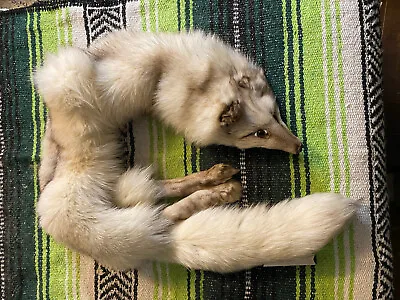 Genuine VINTAGE ARCTIC FOX FUR STOLE WRAP COLLAR • $182.90