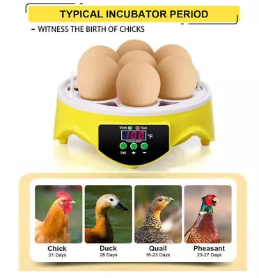 7 Eggs Incubator Poultry Hatchery Chick Hatcher Hatching Chicken Duck • $20.79