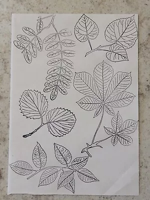 Used Martha Stewart--Leaves & Branches Clear Rubber Stamps--Autumn/Fall • $6.50