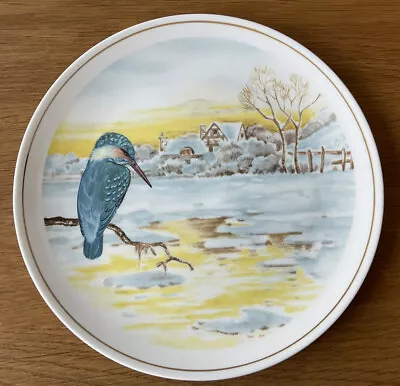 HAMMERSLEY ~ Bone China Plate KINGFISHER Snow Scene. 8.75” Diameter. • £6.50