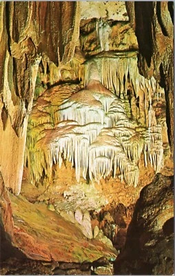 $5.99 • Buy Postcard VA Luray Caverns - Titania's Veil
