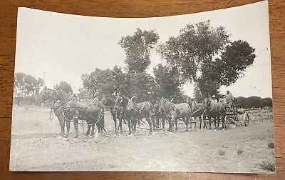 Farm Scene Three Farmers Guiding Eight Horse-Drawn Plow Early 1900s • $6.65