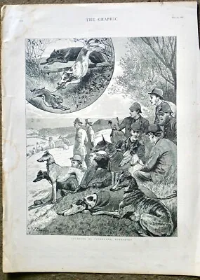 Antique Print Coursing At Cleveland Yorkshire Hunting 1887 40.8 X 30.5 Cm. • £35