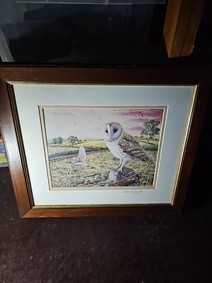 £9.99 • Buy Mark Chester Print Owl Signed Beautiful Picture And Colour In Frame