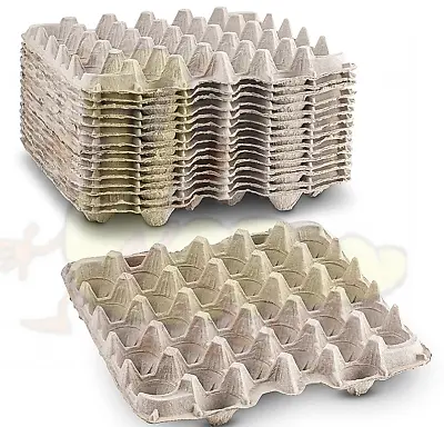 Egg Crates Pet Reptile Live Feeder Flats 30 Cell Tray Organic Egg Carton Stack • $11.99