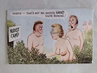 Saucy Bamforth Comic Postcard  Fitzpatrick   Comic  Series No 195 Nudist Camp • £2