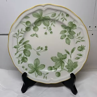 Villeroy & Boch Parkland Green 8  Salad Plates House Garden • $22