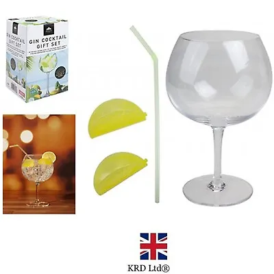 GIN COCKTAIL GLASS GIFT SET With Reusable Straw Ice Cubes Xmas Drink P779005UK • £7.43