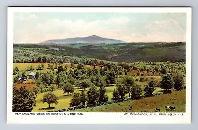 Beech Hill NH-New Hampshire Mt. Monadnock Vintage Souvenir Postcard • $7.99