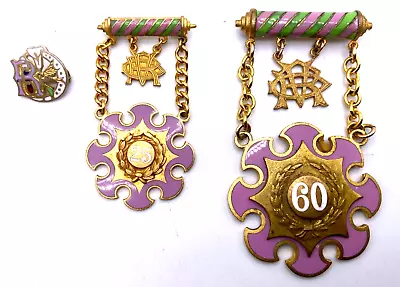 Vtg. Daughters Of Rebekah Enamel Gold Filled Pin Badge Lot Of 3 Michigan 25 & 60 • $50