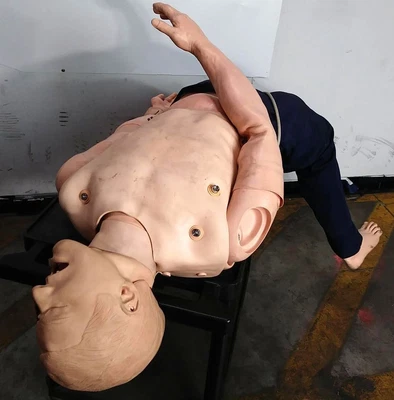 $389.99 • Buy Laerdal Nursing Adult Full Body CPR Intubation Airway Training Manikin