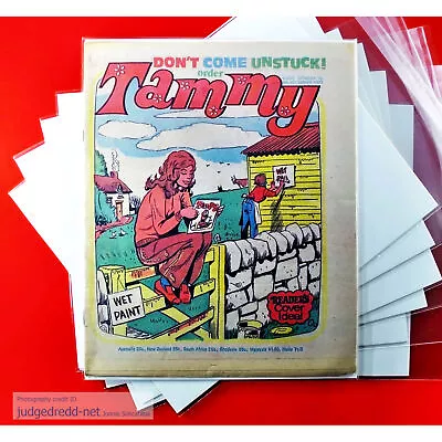 TAMMY COMIC GILRS COMIC 4 12 76 Christmas 1976 UK + Comic Bag And Board (Lot 335 • £8.99