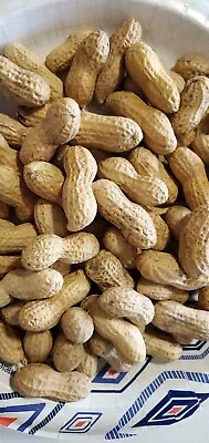 1/2Lb In Shell Virginia Jumbo Peanut Seeds Heirloom Non GMO Free Shipping • $16.50