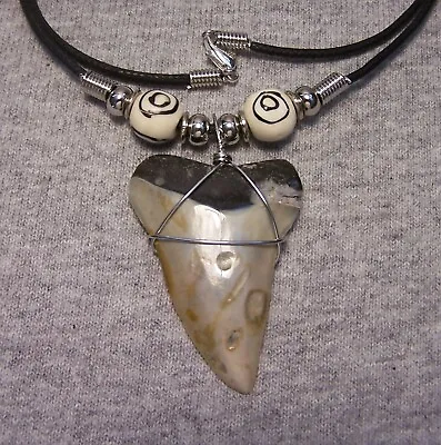 Mako Shark Tooth 1 3/4  Teeth Necklace Fossil Jaw Megalodon Scuba Dive Sharks • $18