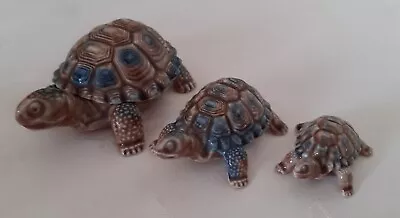 Vintage Wade Porcelain Tortoises X 3/ Largest Is A Trinket Box • £15