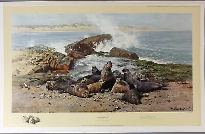 David SHEPHERD Elephant SEALS Original Limited Edition Print Ocean Wildlife • £165