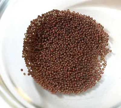 RARE Antique Micro Seed Beads-18/0 Opaque Medium Taupe Brown  1.1 Mm-4gram Bags • $6.25