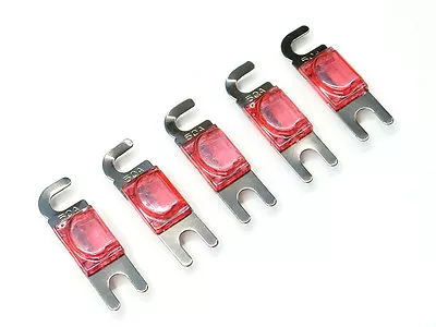 KnuKonceptz Silver Plated Mini ANL 50A Fuse 5pk MIDI • $7.99