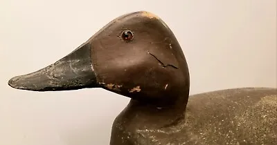 Vintage Redhead Duck Decoy  Michigan  • $85