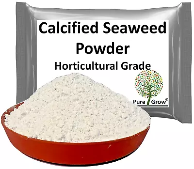 Calcified Seaweed Powder Kelp Fertiliser Soil Conditioner & Lawn Dressing • £4.99