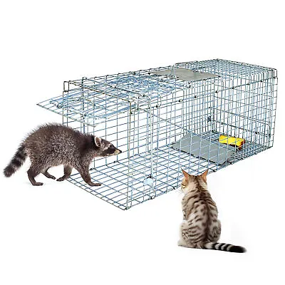 32  Live Animal Cage Trap Heavy Duty Folding Raccoon Traps Humane Cat Trap • $32.58