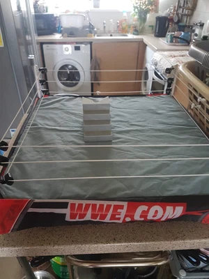 £100 • Buy Wwe Elite Scale Ring.