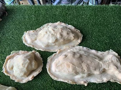 3 Latex Rubber Moulds Garden Plaques Large Fish • £25