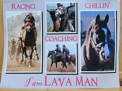 Lava Man  Poster - Old Friends Charity • $14